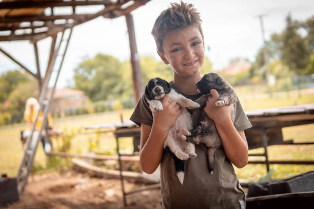 istock Boy holding two puppies 1627003525