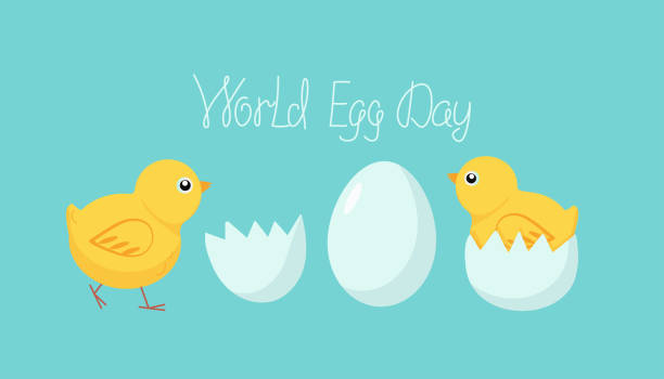 World Egg Day. Chickens and eggs. World Egg Day. Eggshell. Calligraphy lettering. Vector illustration, background isolated. World Egg Day stock illustrations