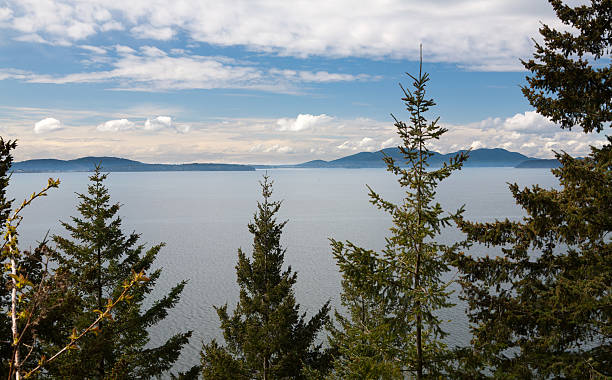istock Trees, Mountains, and Puget Sound 162702588