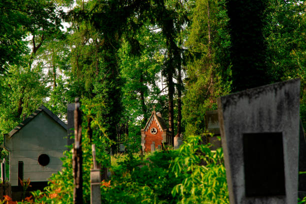 cemetery crypt and tomb stone outskirts infrastructure objects in woods environment space