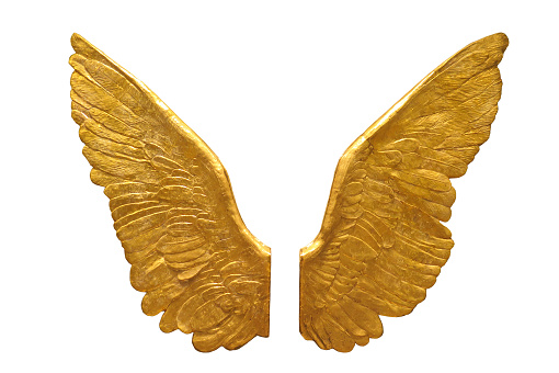 Metallic golden angel wings isolated on white background