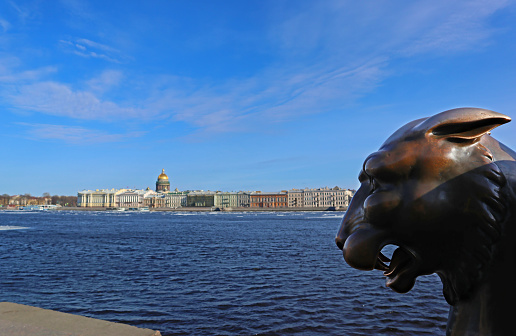 Bronze animal statue with wings located near the Egyptian Sphinxes on Neva River embankment. St. Petersburg, Russia - April 13, 2023.