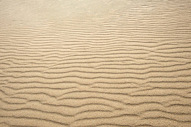 vagues de sable - sahara desert coastline wind natural pattern photos et images de collection