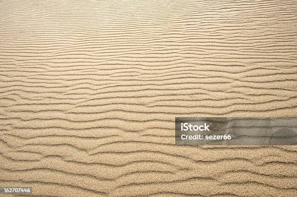 砂浜の波 - クローズアップのストックフォトや画像を多数ご用意 - クローズアップ, サハラ砂漠, テクスチャー効果