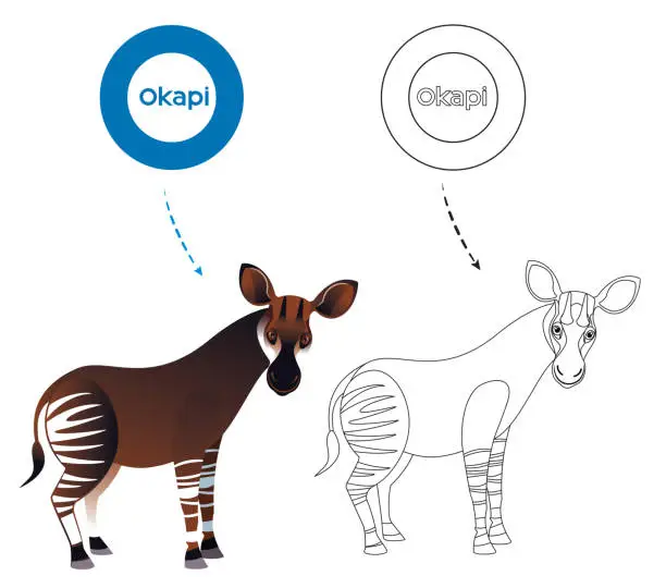 Vector illustration of Okapi Coloring page and alphabet