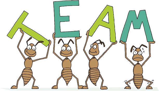 Teamwork A team of ants lifts the word "team" above their heads. Teamwork concept. ants teamwork stock illustrations