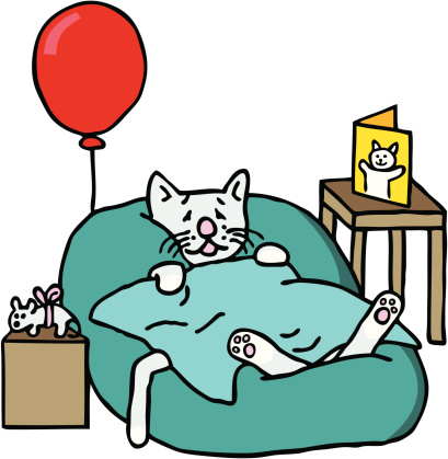 A sick cat in bed with a balloon, a gift and a get well card.