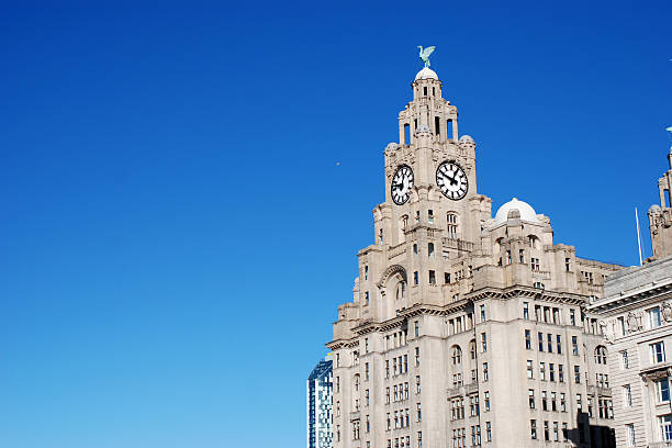 royal liver building in liverpool - liverpool england pierhead famous place stock-fotos und bilder