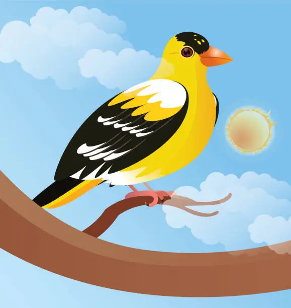 Vector illustration of American Goldfinch