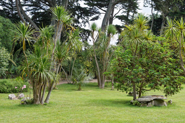 istock island of batz 1627147338