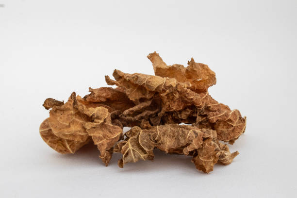 Studio image of crumpled and brittle dried brown leaves on a pure white background.