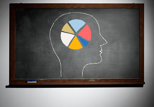 istock The school board and chalk-drawn brain graph with colorful chart 162716173