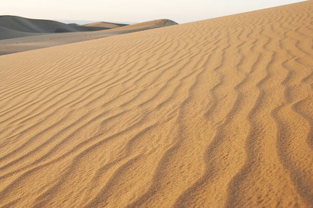 Dunes – zdjęcie