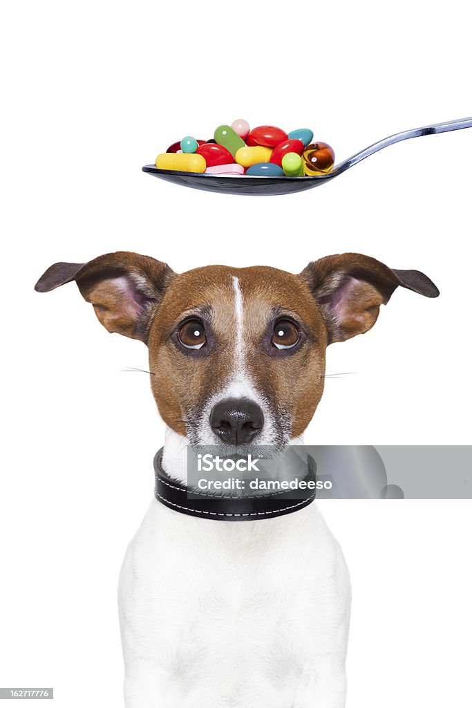 Pillole di dieta cane - Foto stock royalty-free di Cane