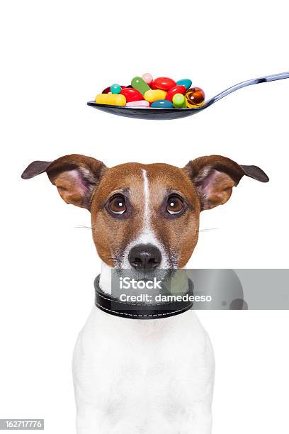 Pillole Di Dieta Cane - Fotografie stock e altre immagini di Cane - Cane, Capsula, Pillola