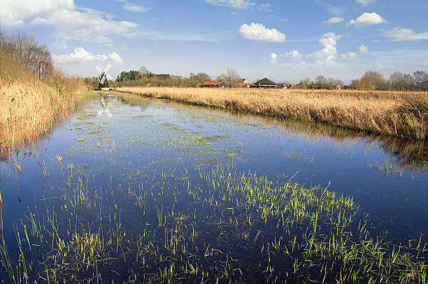 Fenland in Cambridgeshire, England The fens in East Anglia are a marshy region, artifically drained and transformed into arable farming areas. Today in fenland there is production of crops such as grains, vegetables and some cash crops such as rapeseed or canola. cambridgeshire stock pictures, royalty-free photos & images