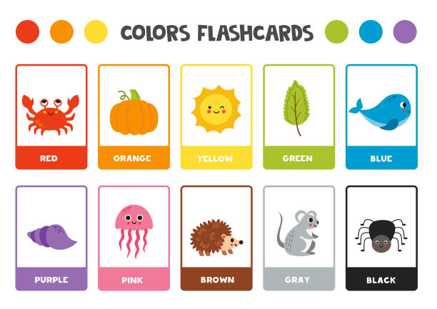Colors learning cards for kids. Colorful set of flashcards. Color learning flashcards for preschool kids. Educational cards. spider on flower stock illustrations