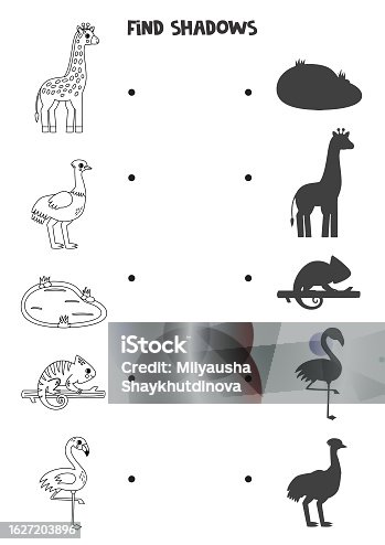 istock Find the correct shadows of black and white African animals. Logical puzzle for kids. 1627203896