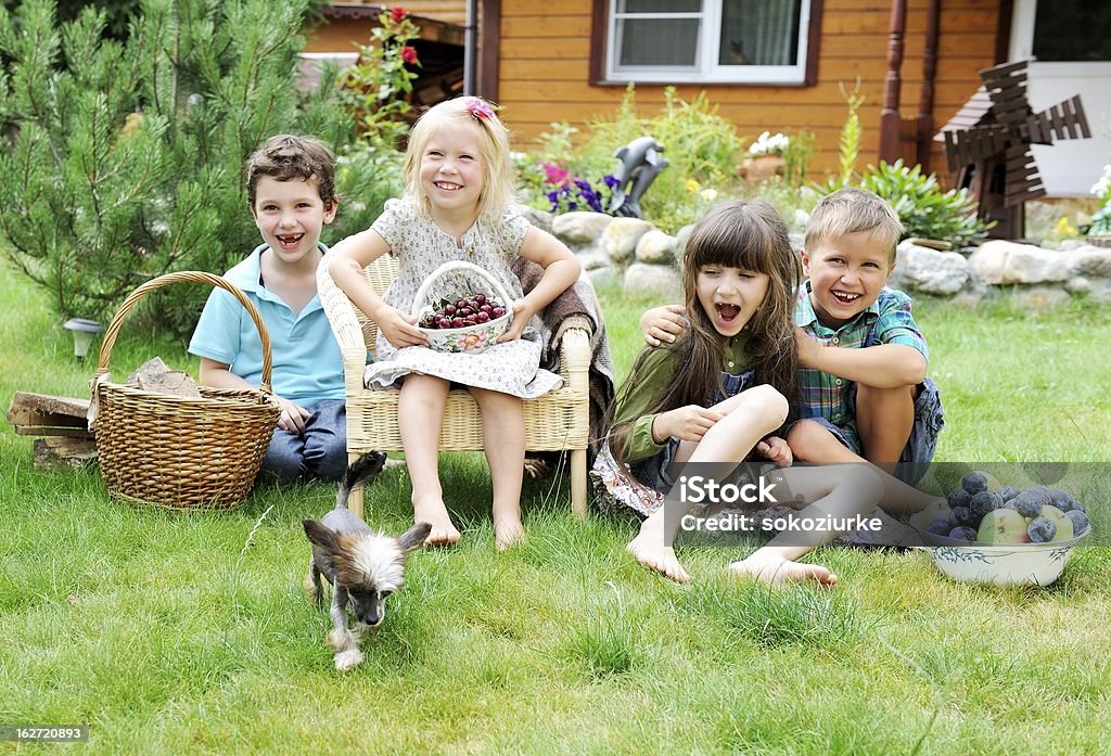 그룹 행복함 보그다 게임하기 야외 파크 - 로열티 프리 개 스톡 사진