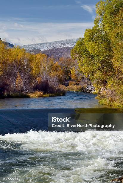 커요 톰프슨 강 0명에 대한 스톡 사진 및 기타 이미지 - 0명, 가을, 강