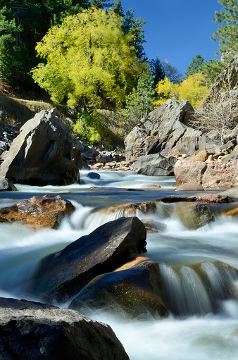 The beautiful Poudre River outside of Fort Collins, Colorado with changing colors in fall.