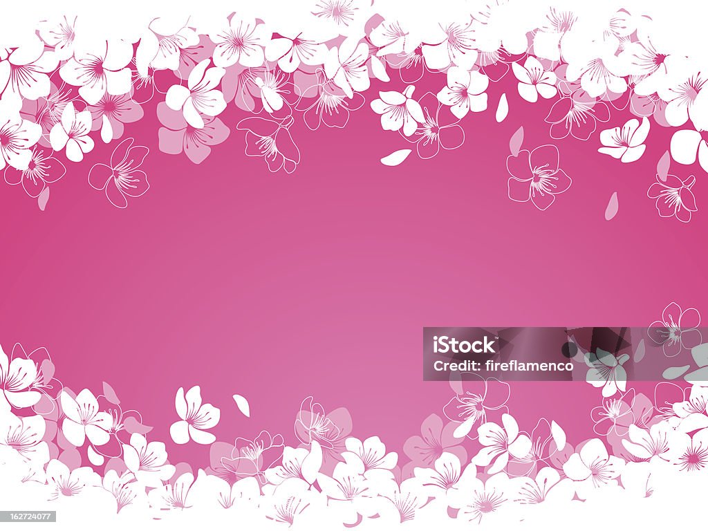 Flores de cerezo - arte vectorial de Blanco - Color libre de derechos