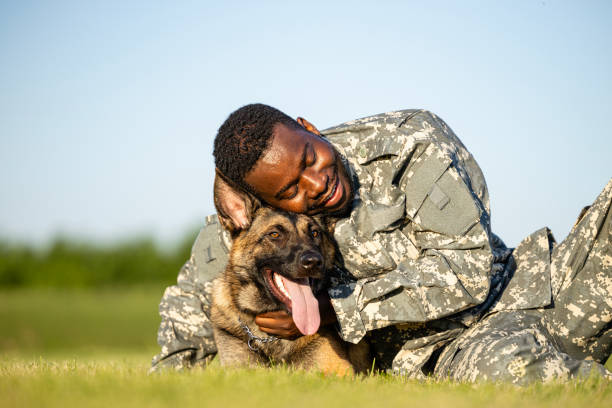 istock Love between soldier and military dog. 1627244913