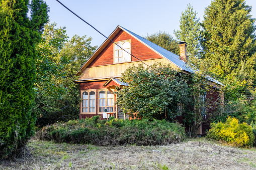 view of village house and juniper bush in yard on summer evening