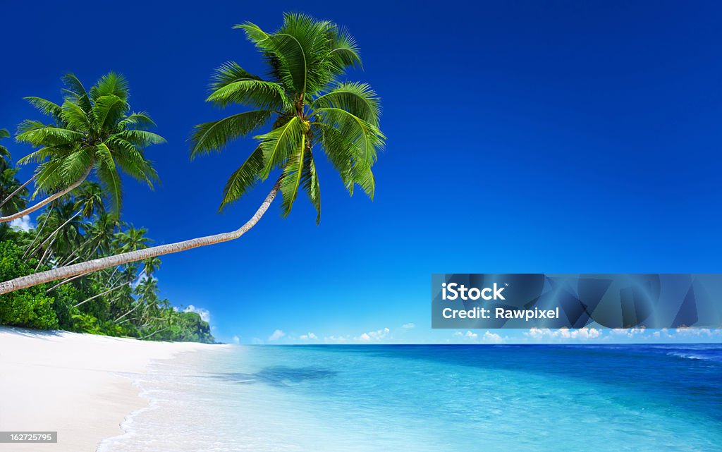 Tropical Paradise Blue Sky, Turquoise sea and white sand, green palm trees. Beach Stock Photo