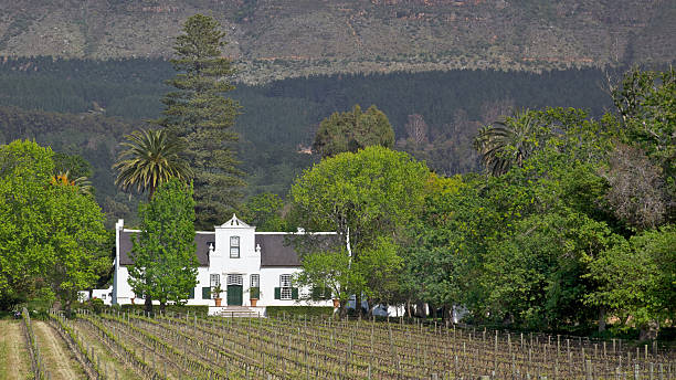 buitenverwachting - south africa cape town winelands constantia ストックフォトと画像