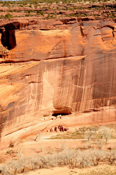 biały domowy czerep canyon de chelly - czerep zdjęcia i obrazy z banku zdjęć