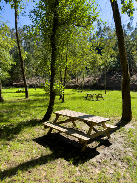 istock Parque Fonte do Amieiro in Souto 1627275877