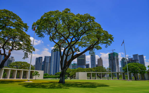 Manila American Cemetery and Memorial Manila, Philippines - Apr 13, 2017. Manila American Cemetery with green tree garden. Cemetery honors the American and allied servicemen who died in World War II. taguig stock pictures, royalty-free photos & images