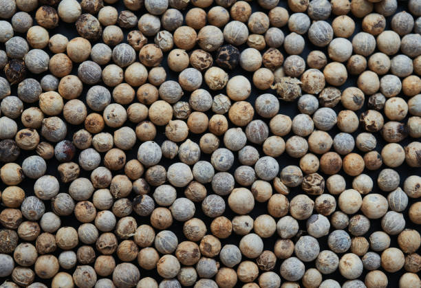 istock close-up view of white pepper 1627287661