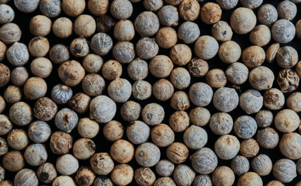 istock close-up view of white pepper 1627306190