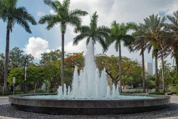 istock Water fountain surrounded by coconot  palm tree. 1627312877