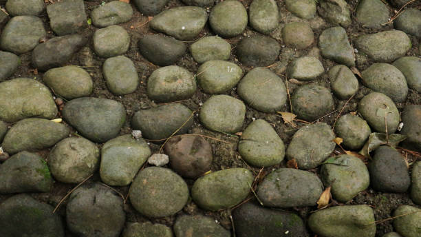 istock Closeup of a White Stone Sidewalk for Backgrounds 1627338268