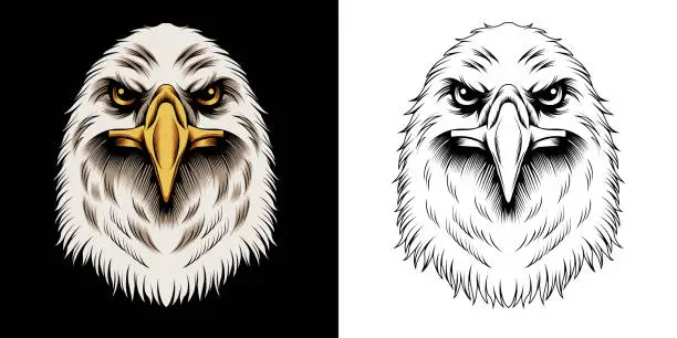 Vector illustration of Eagle head vector illustration in detailed style