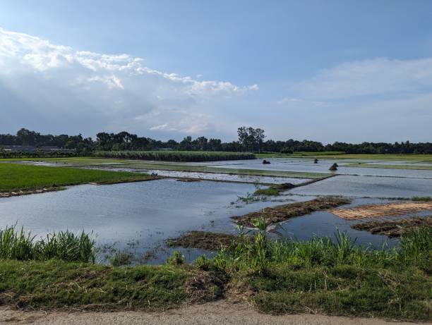 istock Agriculture field converted to water land 1627388449