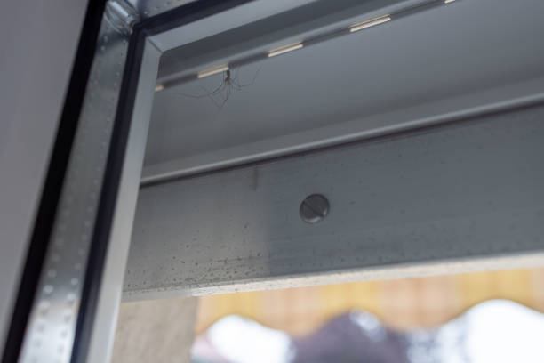 istock Spits between the window and the shutters 1627390714