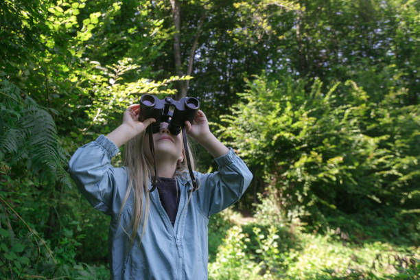 Cute little girl exploring nature looking through binoculars. Child playing outdoors. Kids travel, adventure and bird watching concept.