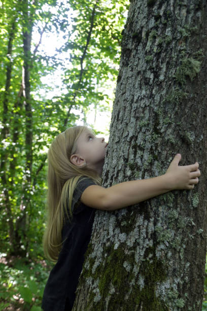 istock Cute little girl hugging tree. Hugging and touching trees provide rich sensory experience for children, reduce stress, improve immunity, lower blood pressure, accelerate recovery from trauma 1627401539
