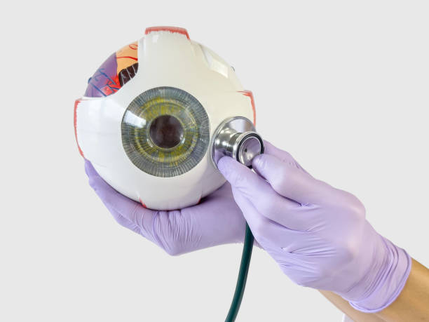 istock Ophthalmologist showing an eyeball model 1627455679