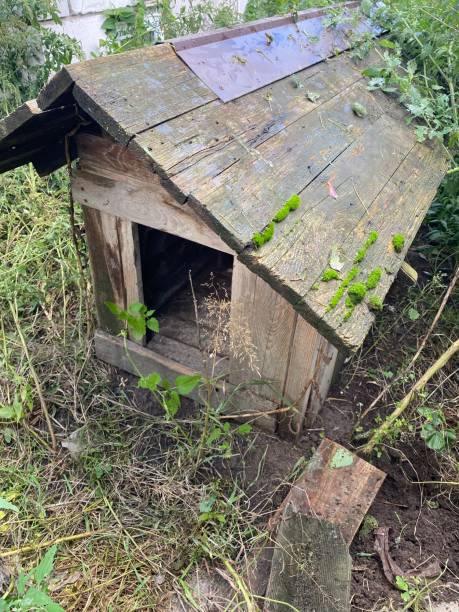 istock wooden hand-made hut for a dog 1627507782