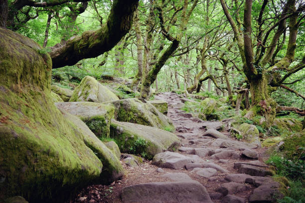 istock A rocky footpath through Padley Gorge, Peak District, Derbyshire, UK. 1627508303