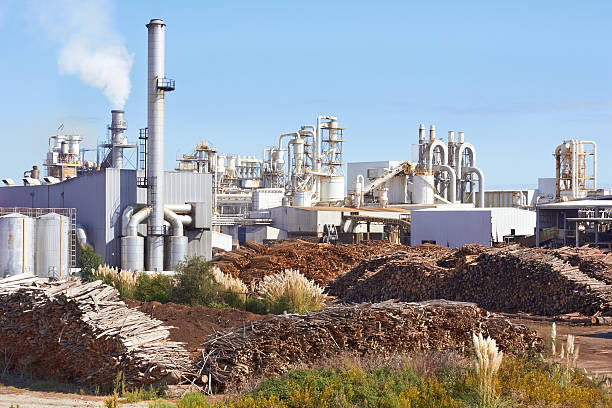 Outer view of a big isolated operating paper factory