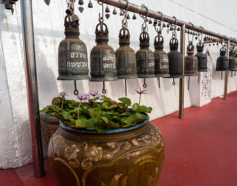 Aligned along a white stone wall, bells adorned with Thai text stand above a red carpet, accompanied by a flower pot at Wat Saket, the Golden Mount, in Bangkok, Thailand.