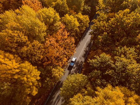Aerial view of rural road with car in yellow and orange autumn forest