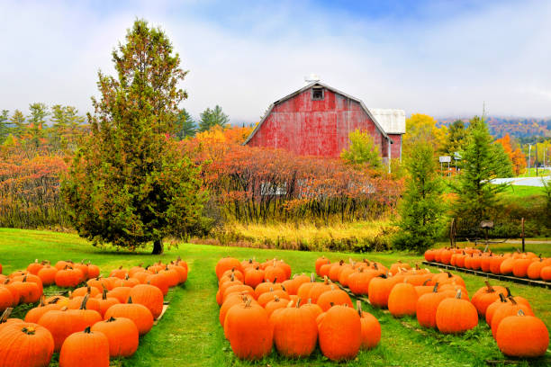 Rustic Farm Fall Farm Barn Fall Home Farm Barn Set (incl Animals)