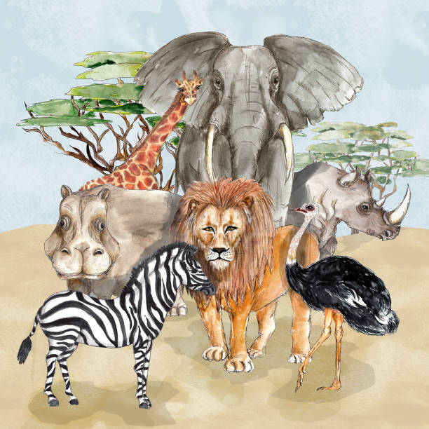 istock Safari African animals portrait watercolor illustration 1627569360